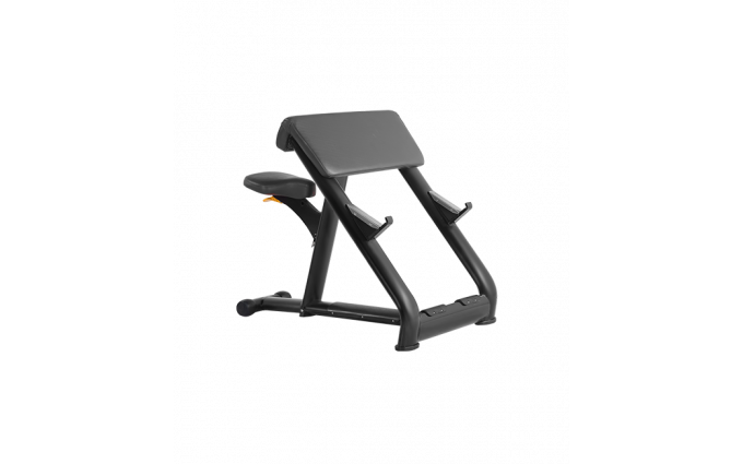 Скамья Скотта BRONZE GYM H-040A (черный)